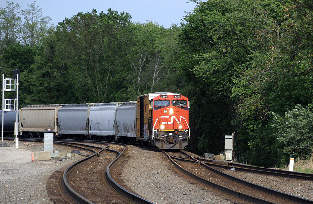 Freight train with red and black locomotive rounds curve.