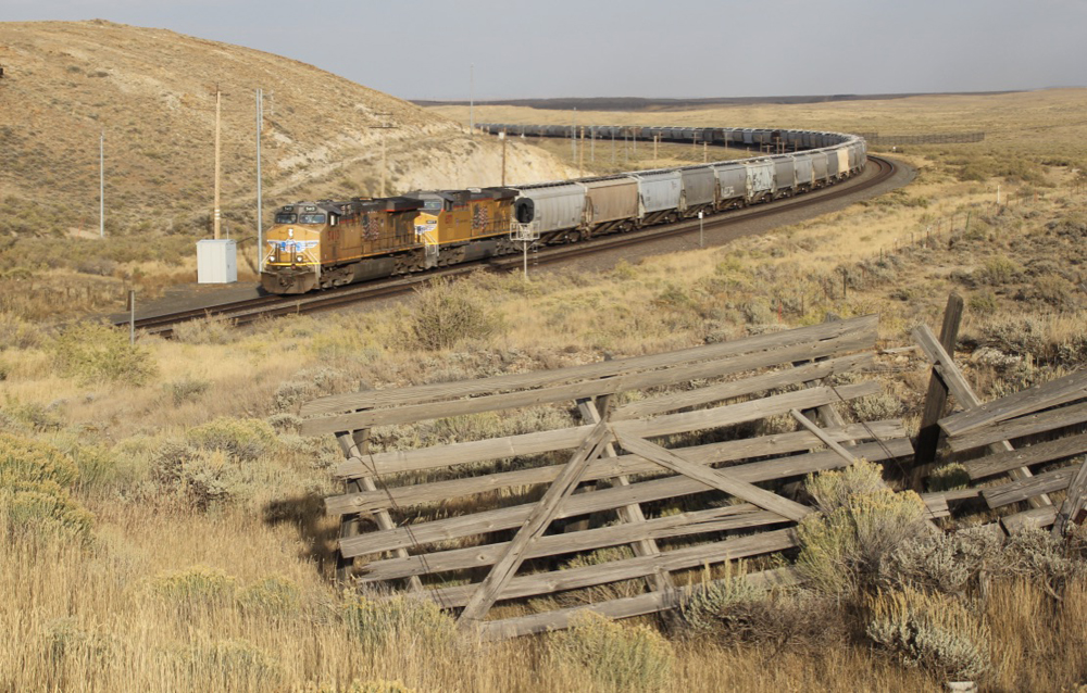 Train rounds curve in late afternoon sunlight