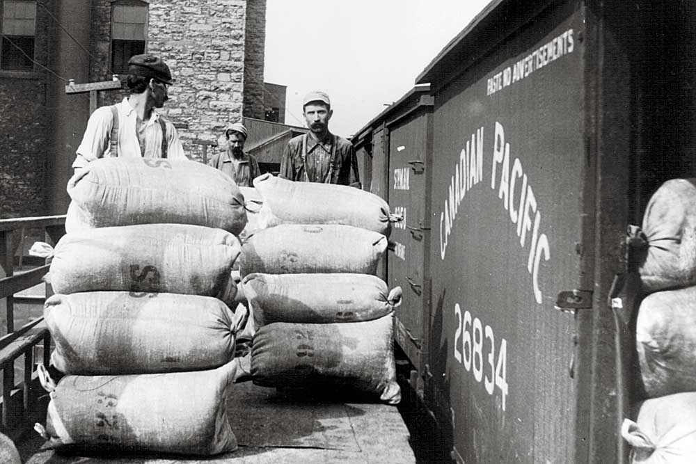 Men load bags of grain from platform into open boxcar