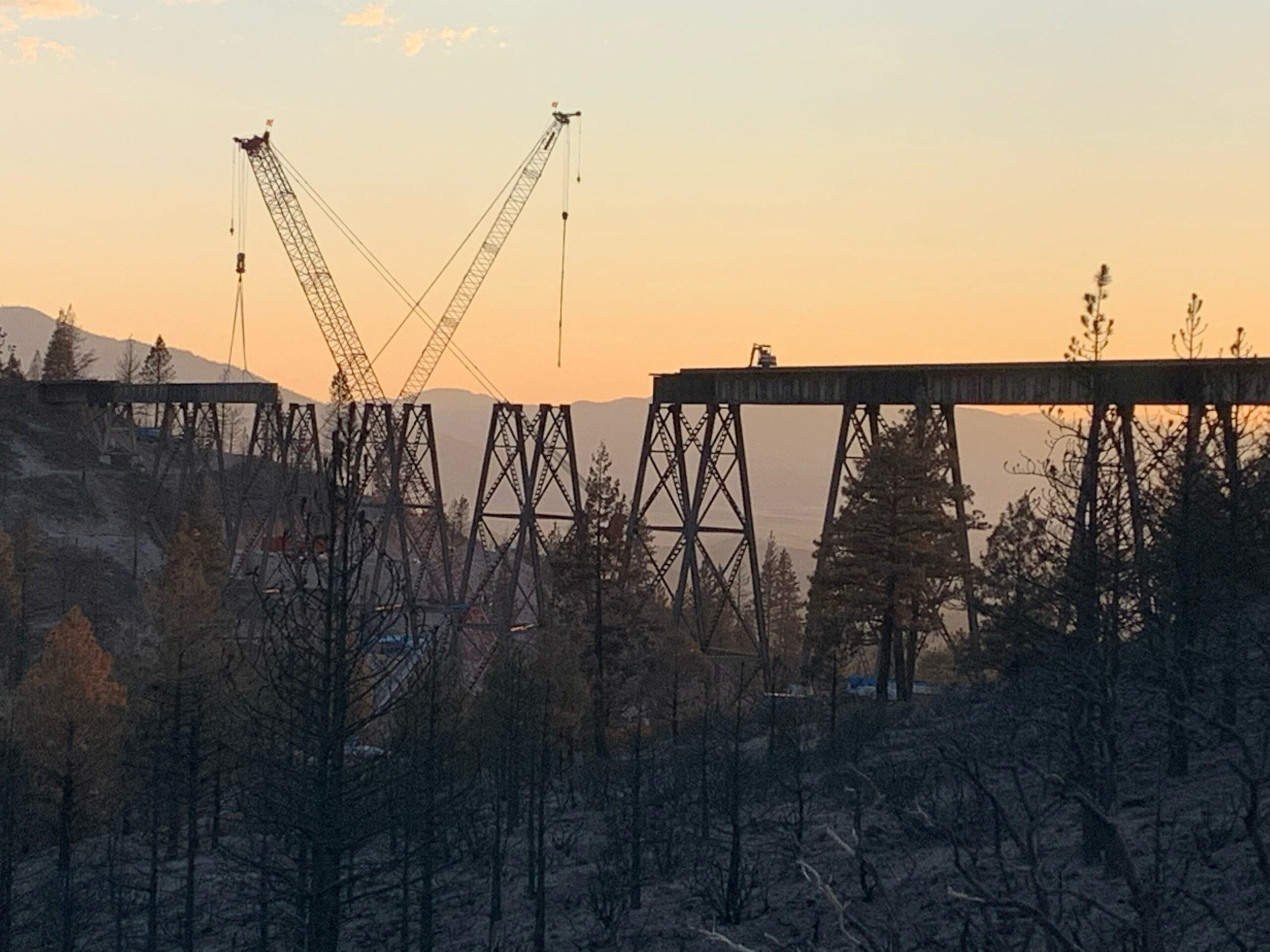 Bridge and cranes at sunset