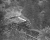 Black-and-white overhead view of Shay steam locomotive crossing trestle with log train