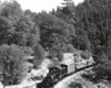 Black-and-white overhead view of Shay steam locomotive in woods with boxcar and loaded log cars
