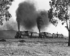 Black-and-white view framed by two trees of doubleheaded steam locomotives with freight train