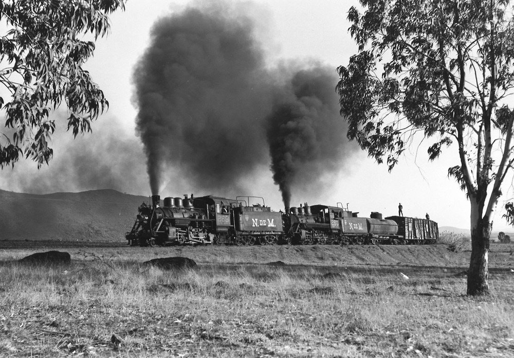 Black-and-white view framed by two trees of doubleheaded steam locomotives with freight train