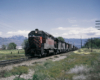 Color view of road-switcher diesel locomotives with freight train