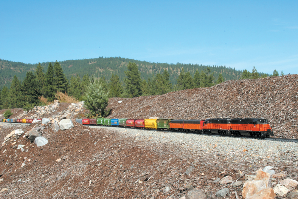 Long model train on a garden railway