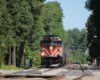 Train arrives at station after traveling down straight lined by trees.