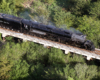 Big Boy steam locomotive on a bridge over trees and vegetation.