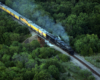 Big Boy steam locomotive hauls a train over an elevated right-of-way in a forested area.