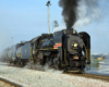 Steam locomotive hauling long freight train.