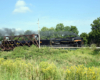 Steam locomotive hauling freight train over steel truss bridge.