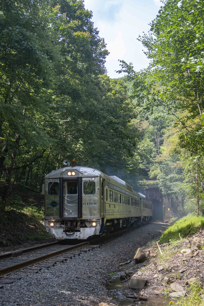 Railcars at tunnel, surrounded by trees