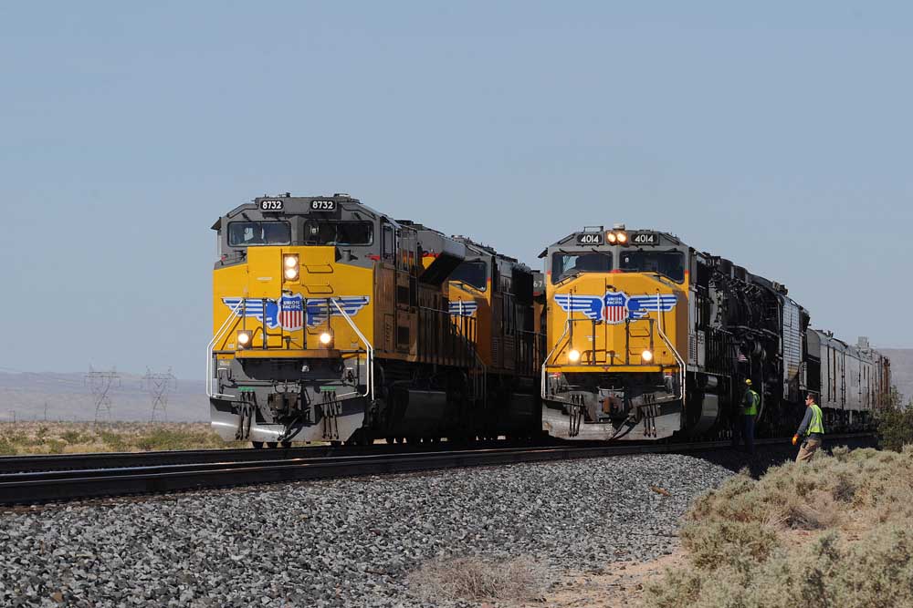 Yellow diesel locomotives line up side by side