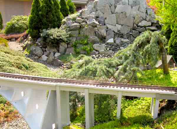 A spruce on a garden railroad