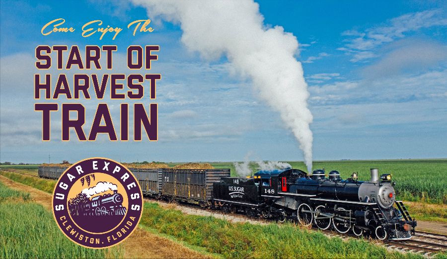 Steam locomotive in sugar cane fields with company logo