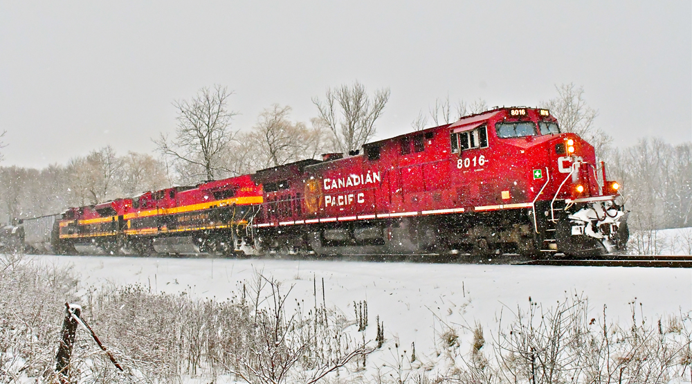 Red locomotive leads multicolored locomotives in snow