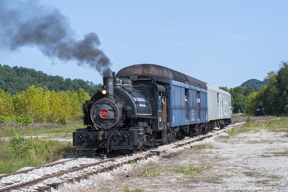 Small steam locomotive pulling two cars