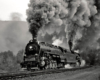 Black-and-white three-quarter angle photo of 4-8-4 steam locomotive in action