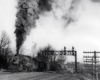 Black-and-white photo of steam locomotive with Reading Company freight train