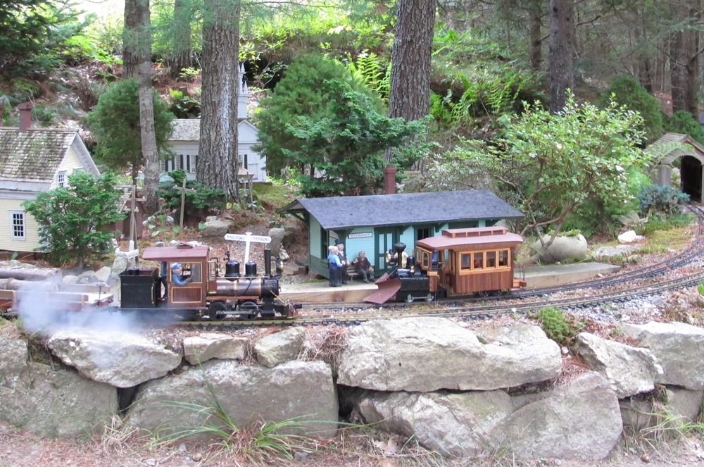 Two live-steam engines on a garden railway