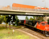 A pair of red-and-black diesels pass beneath a highway overpass