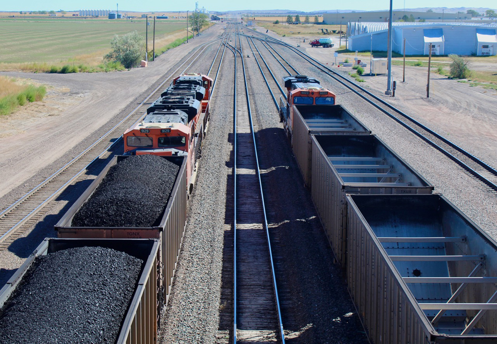 Full and empty coal trains stopped on adjacent tracks