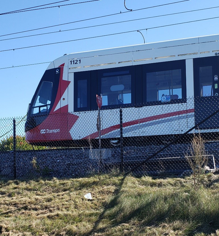 Red and white light rail train