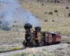 Double-headed steam passenger train.