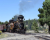 Closer look of a double-headed steam passenger train in a prairiegrass-pine forest area.