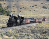 Two larger coal-fired steam locomotives lead a freight train through scrub and grassland.