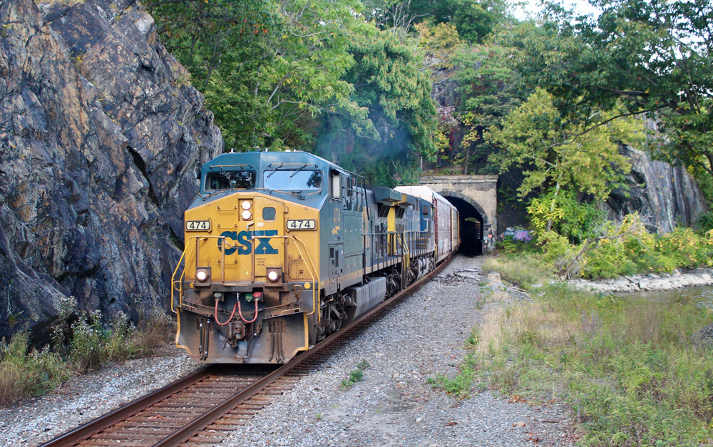 Train with blue and yellow locomotive coming out of tunnel