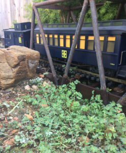 Models of coach and drovers caboose