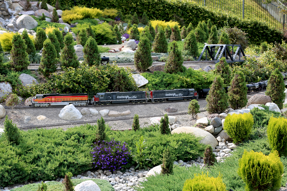 Three diesel locomotives on a garden railroad