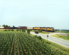 A yellow Union Pacific locomotive leads a freight train passed corn fields. On an HO scale layout.