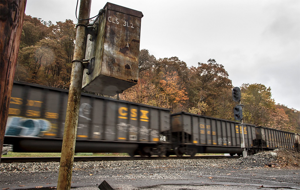 Coal hoppers rolling past fall foliage