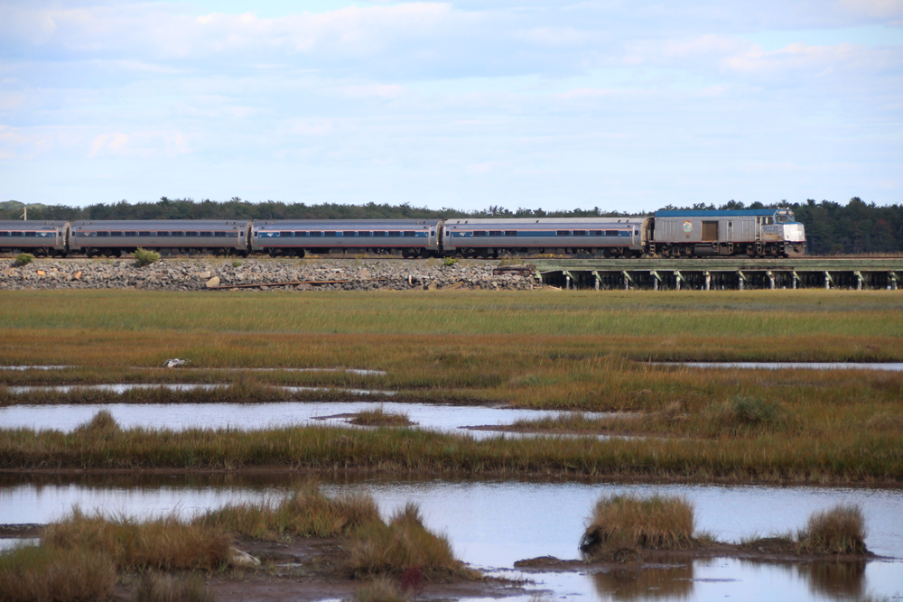 Passenger train passing through marshlande