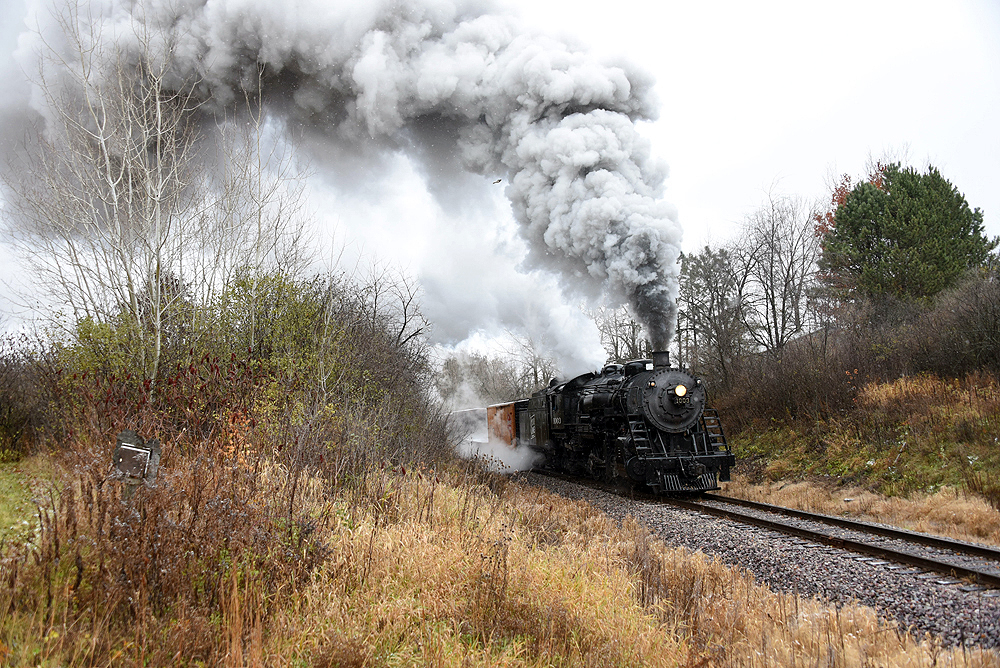 Steam locomotive passes through trees and brush under gray skies.