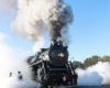 Steam locomotive exhausts steam near the ground