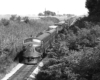 Streamlined diesel locomotives lead freight train in cut.