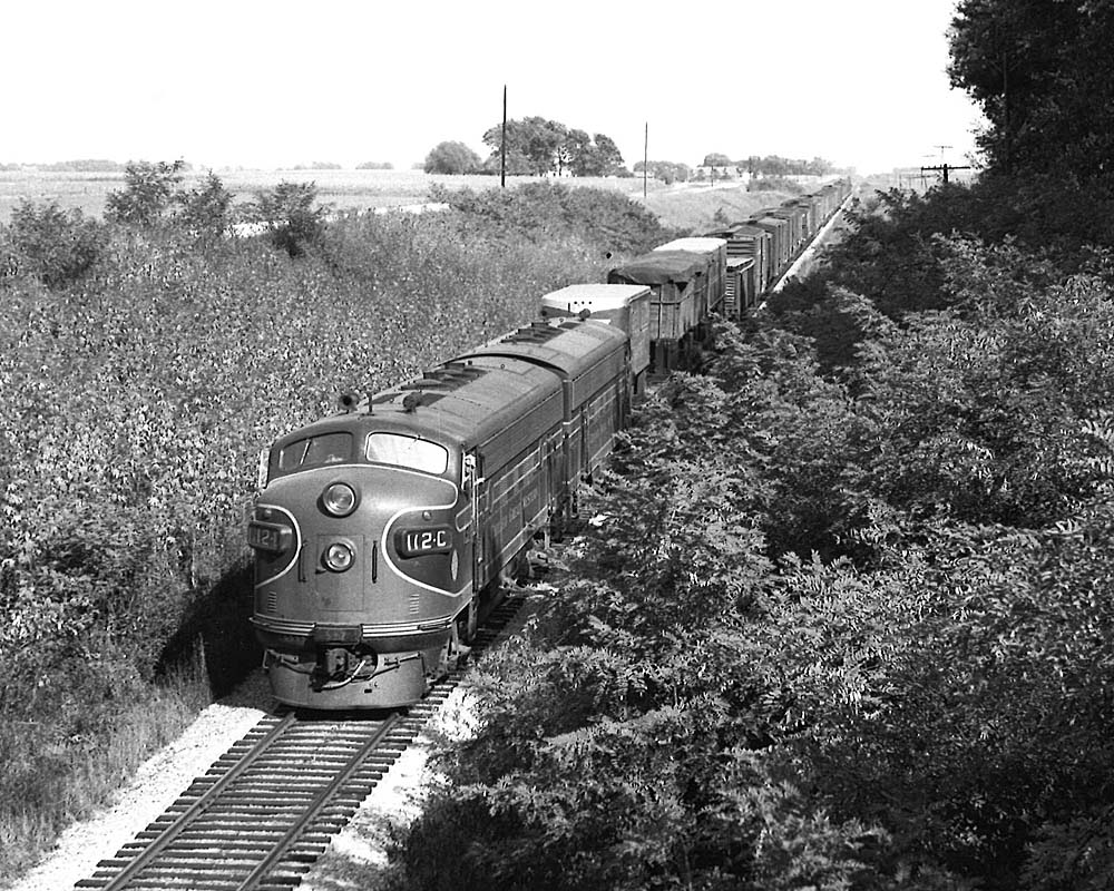 Streamlined diesel locomotives lead freight train in cut.