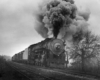 Smoking steam locomotive leads freight train.