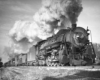 Smoking steam locomotive leads freight train.