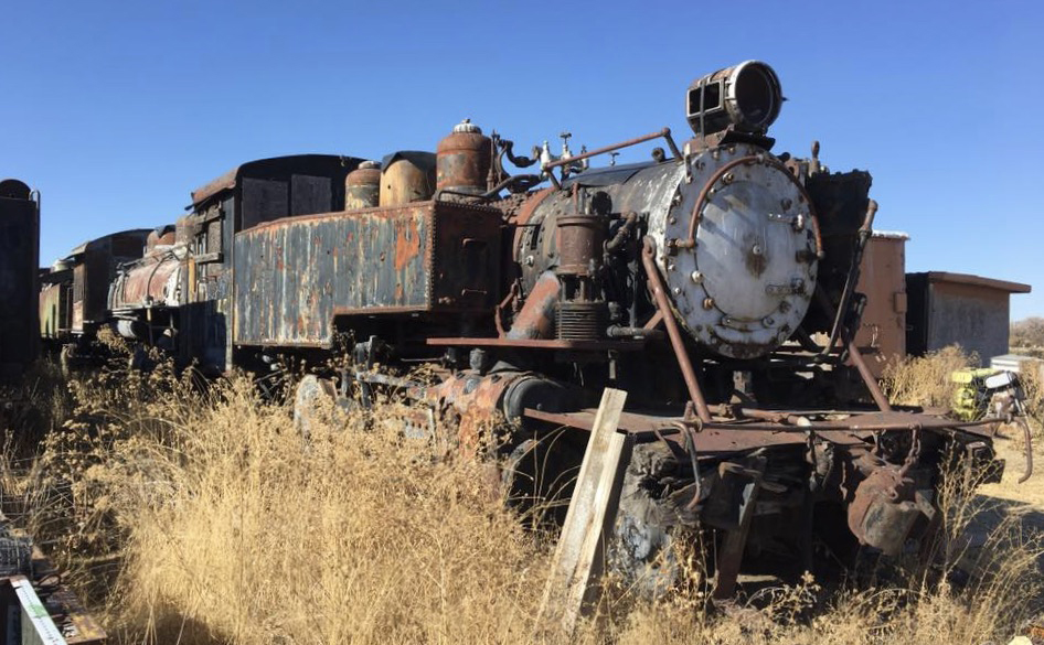 Tank locomotive in weeds