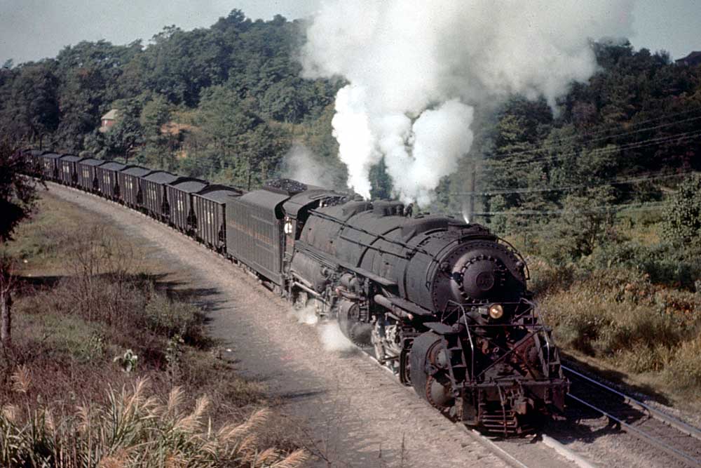 Steam locomotive with coal train among trees