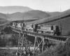 Diesel locomotives with coal train on steel viaduct