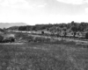 Three diesel locomotives move train of mostly boxcars through wooded hills