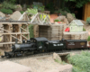 Steam locomotive on a Garden railroad