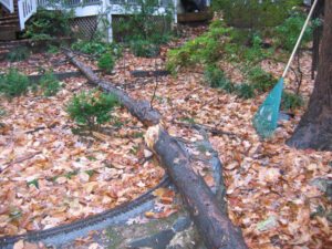 Tree branch damage to garden railway