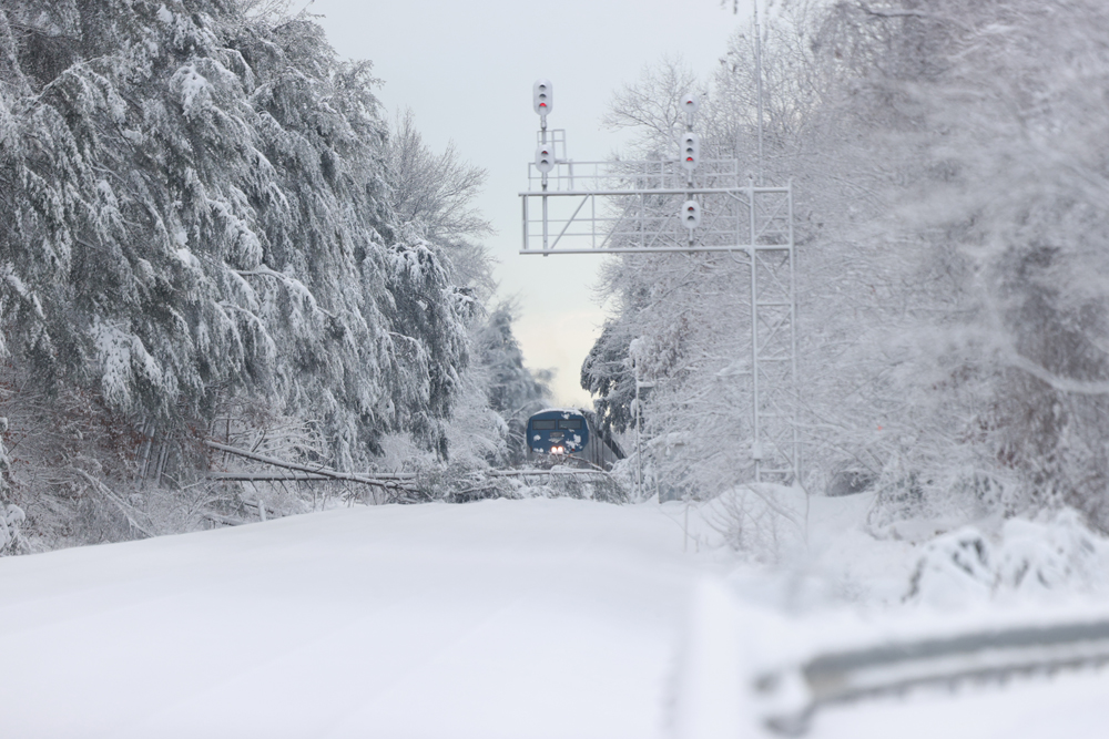 Amtrak Auto Train in snow and behind tree across tracks