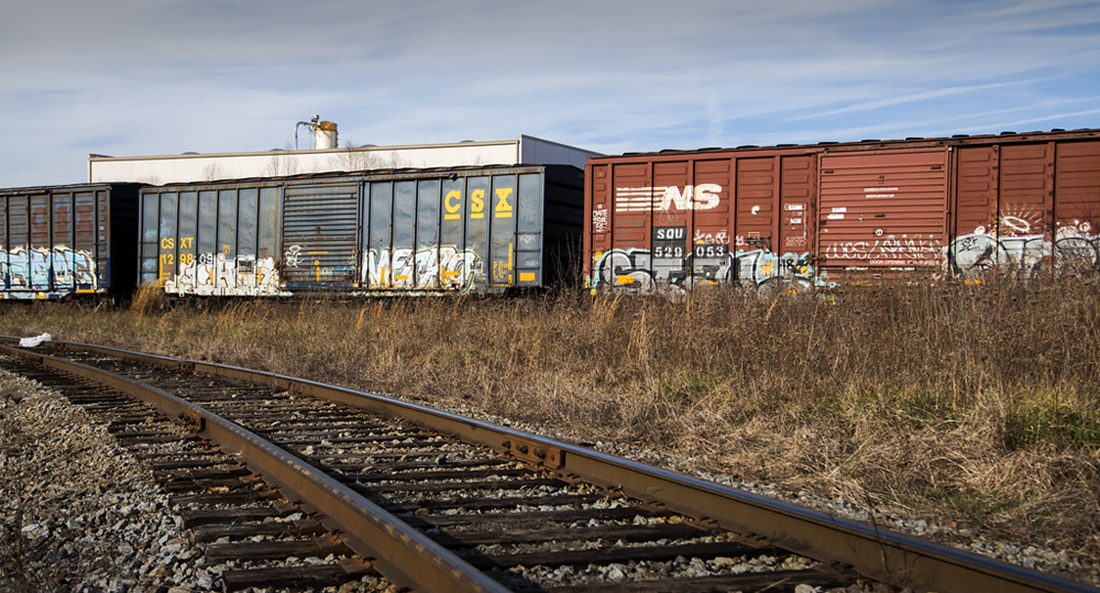 Graffiti-covered boxcars on rail spur